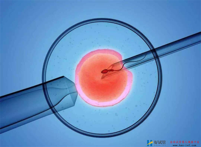 做试管婴儿一般要多少钱？(图1)