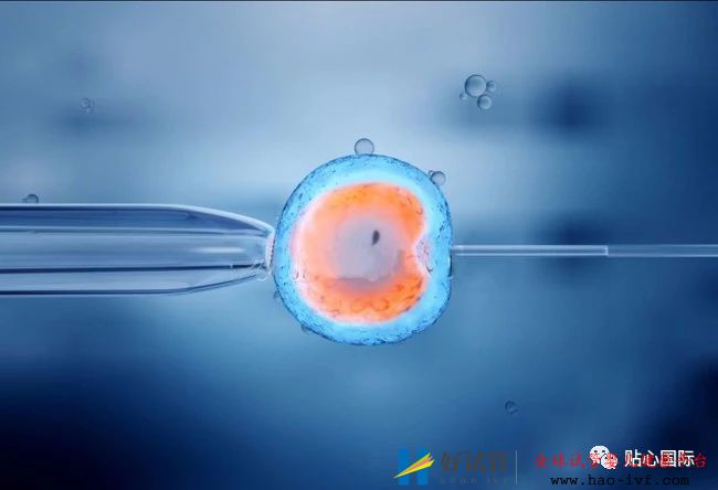 做试管婴儿,我的成功率是多少?(图1) 做试管婴儿,我的成功率是多少?(图1)