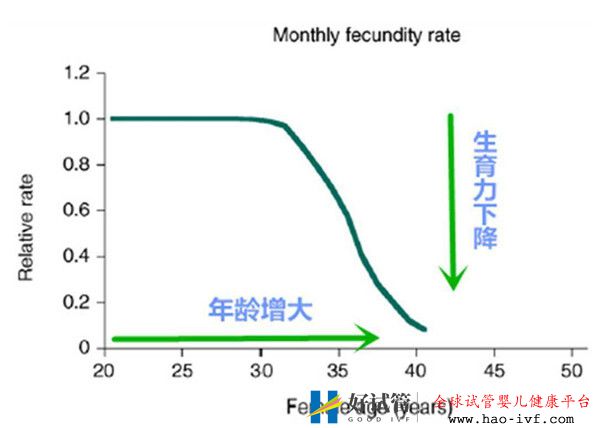 高龄女性对试管婴儿成功率有哪些影响如何提高女性卵子质量(图1) 高龄女性对试管婴儿成功率有哪些影响如何提高女性卵子质量(图1)