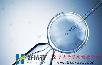 试管婴儿的成功率是多少?怎么样做可以提高成功率?(图2) 试管婴儿的成功率是多少?怎么样做可以提高成功率?(图2)