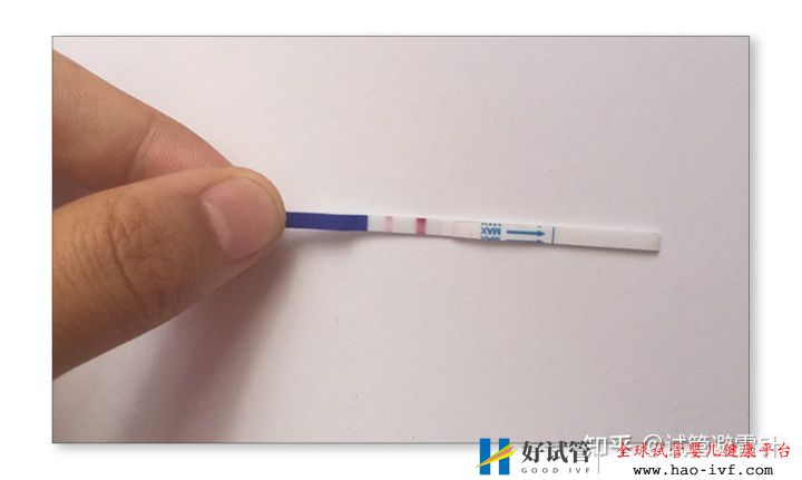 试管婴儿费用大约多少2021年——3.国内一二代试管婴...(图19)