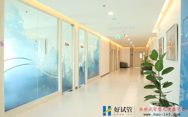 一起来看下试管婴儿的花费明细表(图3) 一起来看下试管婴儿的花费明细表(图3)