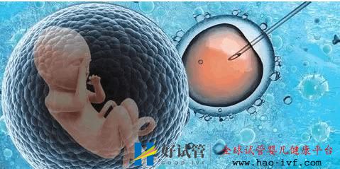 泰国试管婴儿费用第二代和第三代的相差多少(图2) 泰国试管婴儿费用第二代和第三代的相差多少(图2)