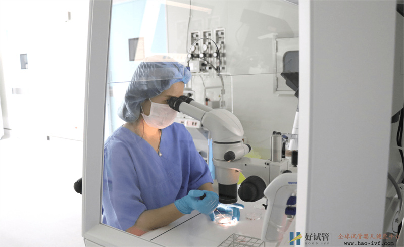 影响做三代试管成功因素有什么?(图1) 影响做三代试管成功因素有什么?(图1)