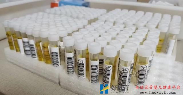 郑州哪些医院可做核酸检测?需要多少钱?你关心的,这儿都有答案(图1) 郑州哪些医院可做核酸检测?需要多少钱?你关心的,这儿都有答案(图1)