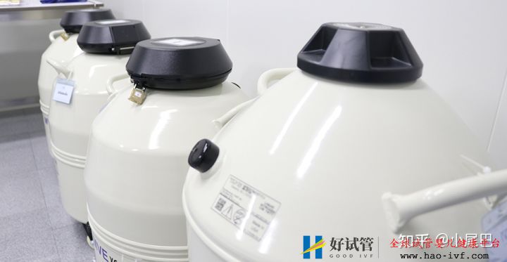 谁知道试管一对龙凤宝宝要多少钱(图1) 谁知道试管一对龙凤宝宝要多少钱(图1)