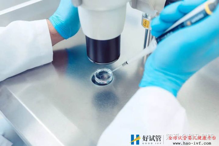 试管婴儿花费高,医保可以报销吗买哪种试管婴儿...(图3) 试管婴儿花费高,医保可以报销吗买哪种试管婴儿...(图3)