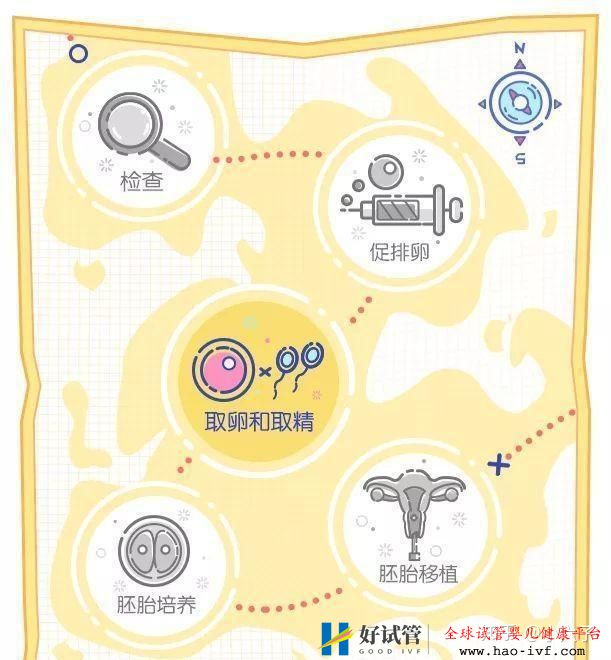 “我做试管婴儿的成功率有多少”先测一测!(图1) “我做试管婴儿的成功率有多少”先测一测!(图1)