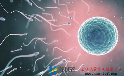 人工授精成功率(图5) 人工授精成功率(图5)