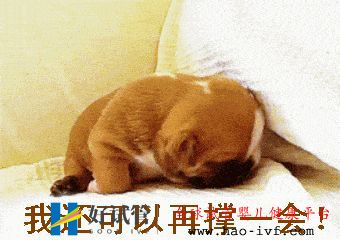 试管三代的费用是多少(图2) 试管三代的费用是多少(图2)