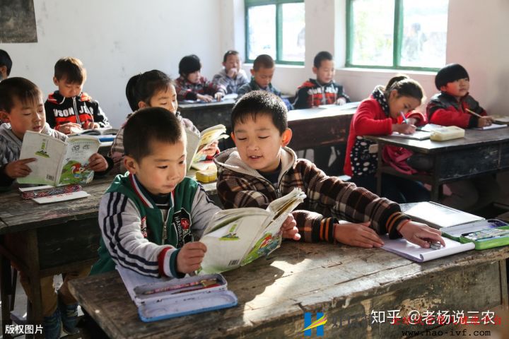 喜讯!2023年,农村5大惠民政策陆续实施,4大补贴...(图4) 喜讯!2023年,农村5大惠民政策陆续实施,4大补贴...(图4)