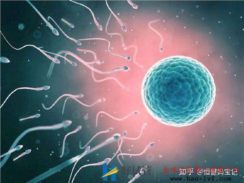 第三代试管婴儿费用是多少,大致的流程有哪些(图5) 第三代试管婴儿费用是多少,大致的流程有哪些(图5)