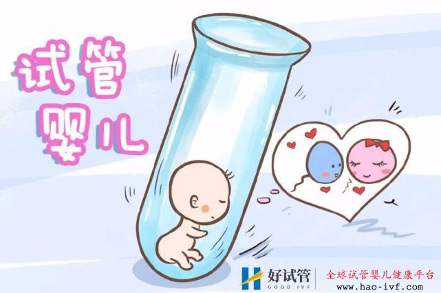 输卵管堵塞需要选择做三代试管婴儿吗?(图1) 输卵管堵塞需要选择做三代试管婴儿吗?(图1)