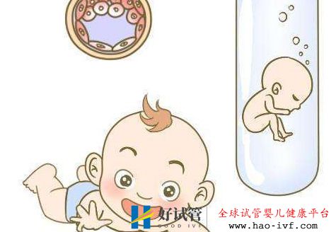 试管婴儿成功进行需要多少个卵泡才能达标?(图2) 试管婴儿成功进行需要多少个卵泡才能达标?(图2)