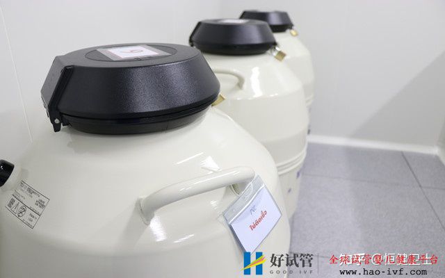 做第三代试管婴儿费用是怎样的(图3) 做第三代试管婴儿费用是怎样的(图3)