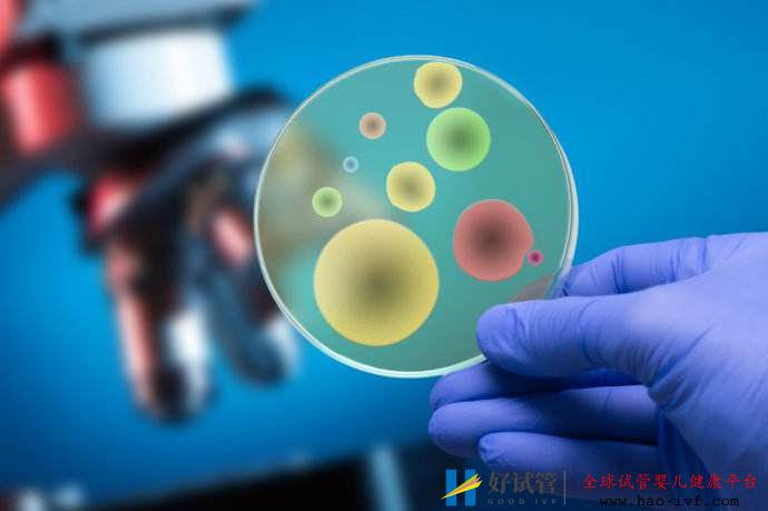 详细解答第三代试管婴儿需要多少钱(图3) 详细解答第三代试管婴儿需要多少钱(图3)