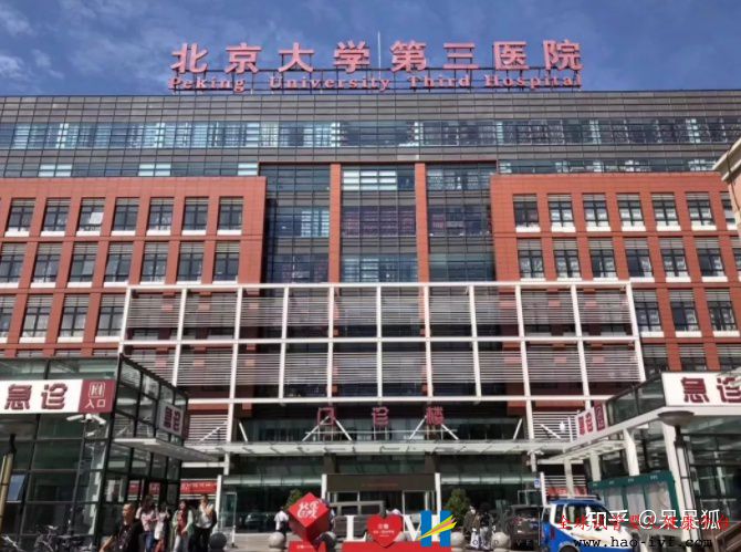 国内试管婴儿成功率是多少,我国试管成功率较高的医...(图3) 国内试管婴儿成功率是多少,我国试管成功率较高的医...(图3)