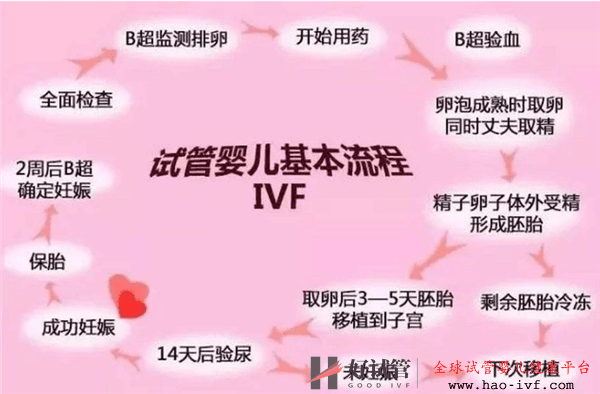 试管婴儿基础知识和注意事项(图2) 试管婴儿基础知识和注意事项(图2)