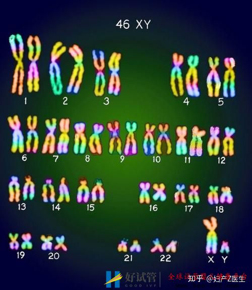 全国试管前百名医院全国三代试管婴儿资质医...(图3) 全国试管前百名医院全国三代试管婴儿资质医...(图3)