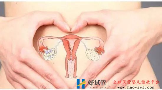 做试管婴儿卵泡少能成功吗?(图2) 做试管婴儿卵泡少能成功吗?(图2)