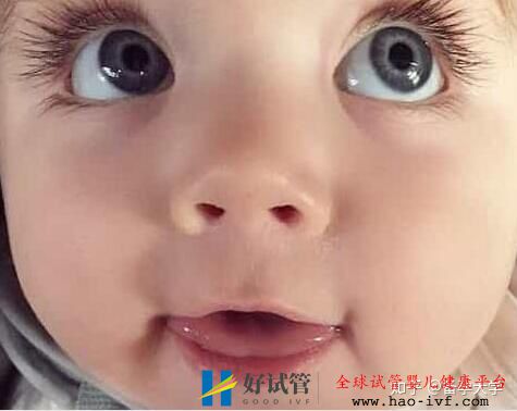 试管婴儿多少钱【各国试管费用明细表】(图3) 试管婴儿多少钱【各国试管费用明细表】(图3)