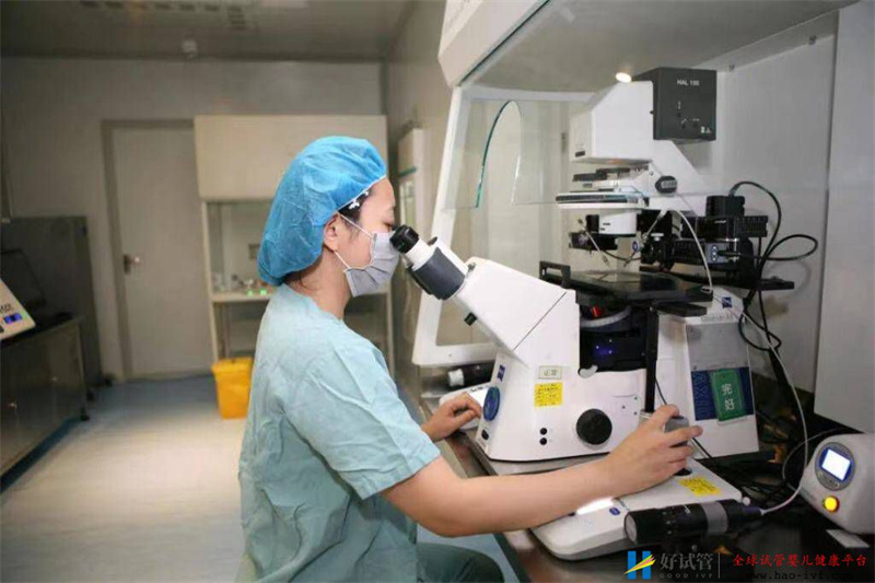 胶东首例第三代试管婴儿诞生可阻断遗传性疾病向子代传递(图1) 胶东首例第三代试管婴儿诞生可阻断遗传性疾病向子代传递(图1)