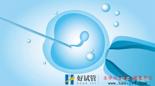 做一回试管婴儿大约需要多长时间(图1) 做一回试管婴儿大约需要多长时间(图1)