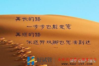 全国试管前百名医院除了北上广,这些地区的试管...(图17) 全国试管前百名医院除了北上广,这些地区的试管...(图17)