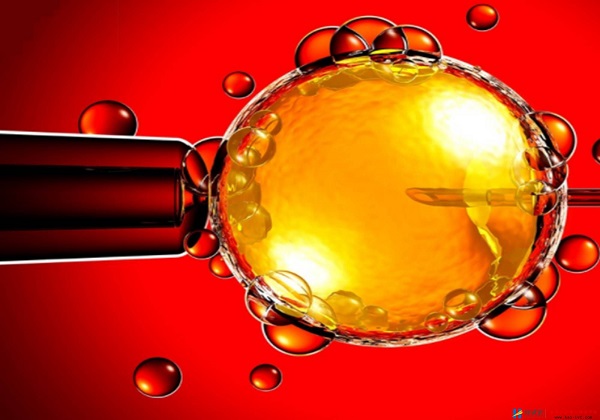 试管婴儿与自然婴儿有何区别?了解试管受孕过程(图1) 试管婴儿与自然婴儿有何区别?了解试管受孕过程(图1)