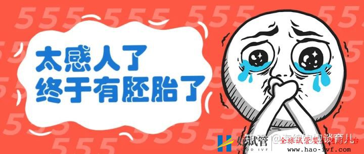 试管胚胎不是你想移植就能移,需要满足这些条件!(图2) 试管胚胎不是你想移植就能移,需要满足这些条件!(图2)