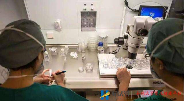 试管婴儿和普通婴儿有什么不一样,寿命、智力?答案让人很意外(图1) 试管婴儿和普通婴儿有什么不一样,寿命、智力?答案让人很意外(图1)