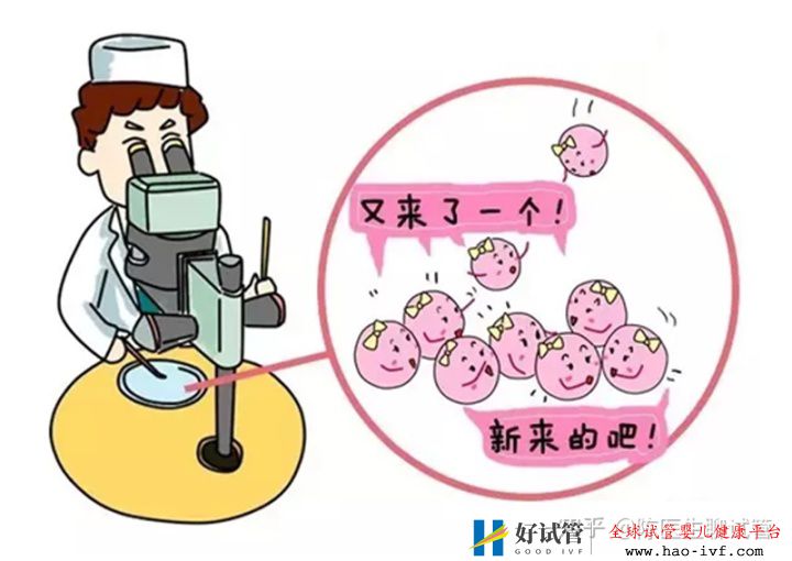 试管婴儿过程痛苦吗一篇来自医生最真实的解读(图3) 试管婴儿过程痛苦吗一篇来自医生最真实的解读(图3)