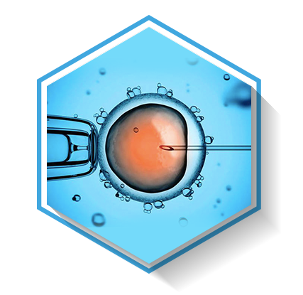 独家优势(图2) 独家优势(图2)