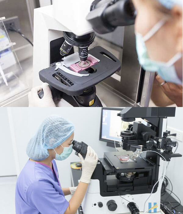 泰国康民国际医院(图2) 胚胎培育