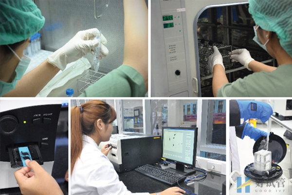 泰国杰特宁医院(图2) 精液实验室