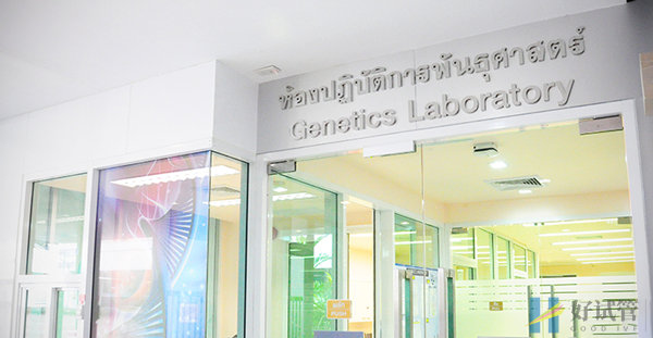 泰国杰特宁医院(图5) 遗传学实验室