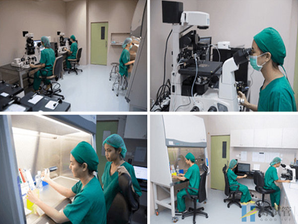 泰国全球生殖中心(图3) 胚胎实验室