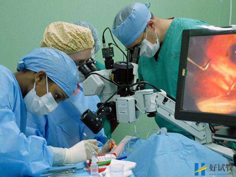 移植用优胚还是囊胚?两者区别有蛮多(图2) 试管移植案例图