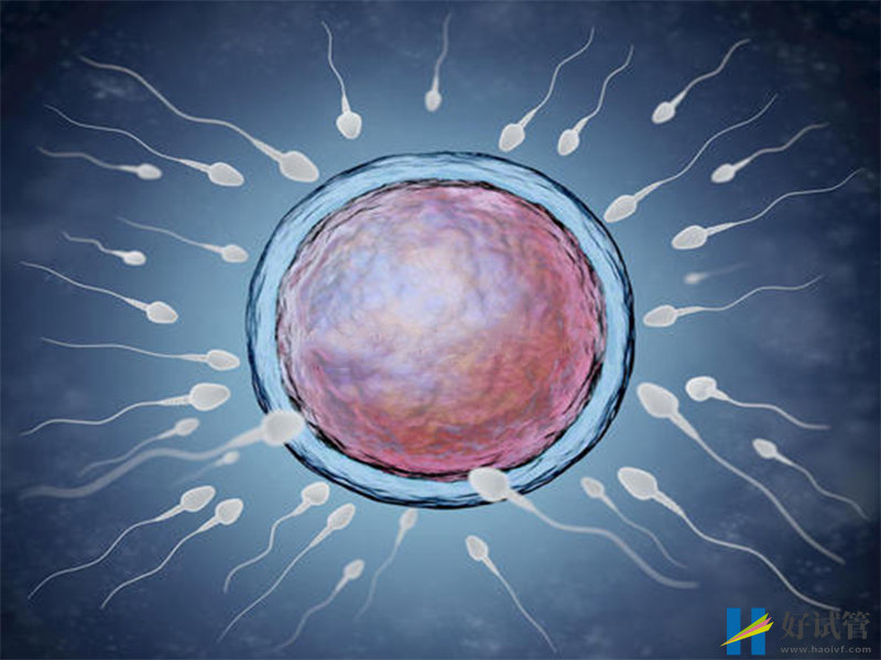 做人工授精自然周期也要分人,这3种情况成功率极低(图3) 影响人工授精成功率的因素