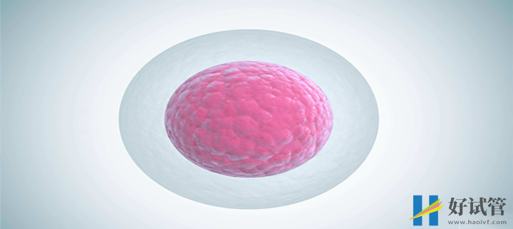 单身未婚不用结婚证也能做试管婴儿啦!(图2) 国外的试管政策相对宽松