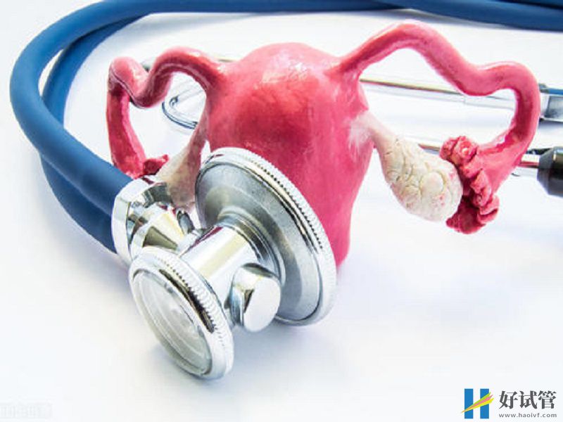 子宫肌瘤患者试管移植前需谨慎,饮食禁忌不可忽视!(图3) 科学饮食能有效改善子宫肌瘤