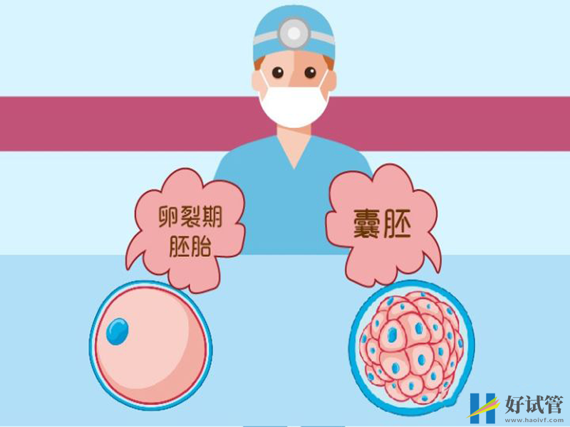 抗缪勒氏管激素偏低咋办,医生教你正确的处理方式(图1) 抗缪勒氏管激素偏低的影响