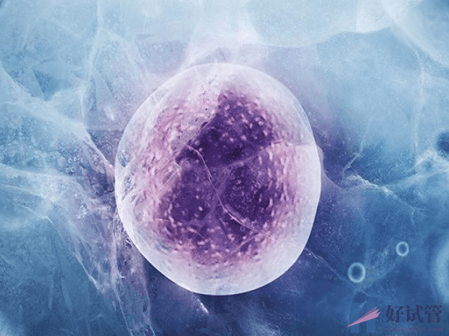 试管二代冷冻和养囊1级2级2.5级3级相比哪个质量好?(图1) 试管冷冻和养囊一级质量都好