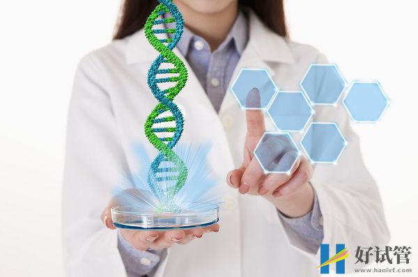 东莞市人民医院试管婴儿费用参考,试管造娃价格明细(图2) 广东有能做试管的医院