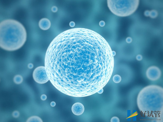 做试管单次成功率达100%不是梦,请提前做好这些准备(图3) 胚胎质量影响试管成功率