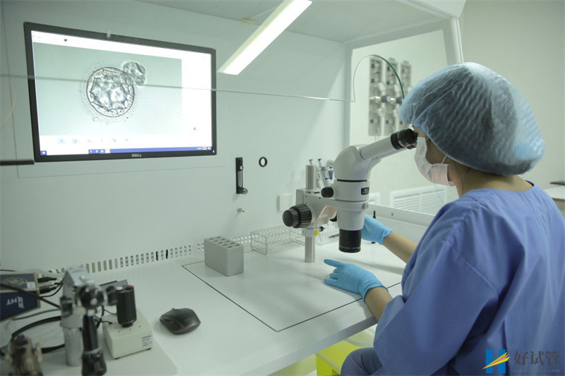 2023年政策对做试管婴儿有补助吗听说有3万补助(图1) 2023年政策对做试管婴儿有补助吗听说有3万补助(图1)