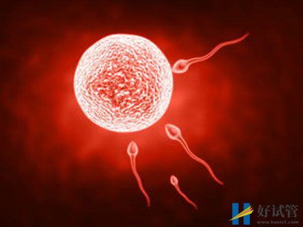 上海集爱医院(图3) 集爱医院二代试管2-3万元