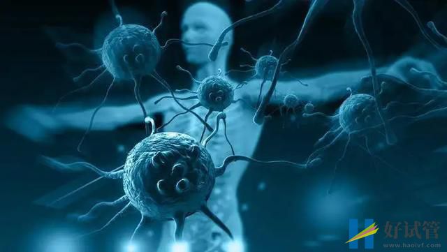 为何癌症也有“楚河汉界”? 为何癌症也有“楚河汉界”?