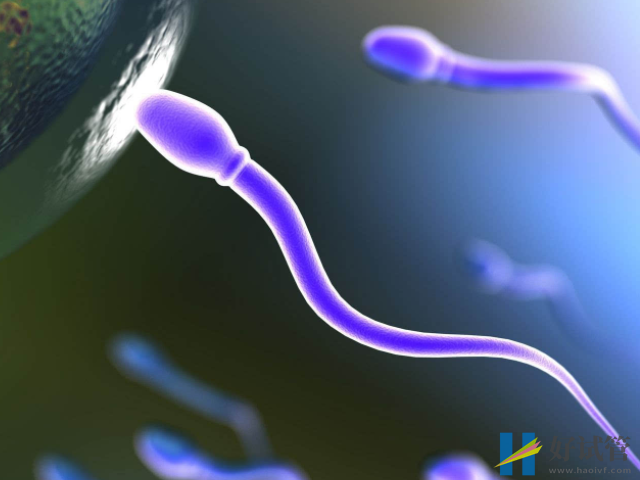 男人少精症正常怀孕几率也不低,关键点在查明原因!(图2) 生殖道感染会引起少精症