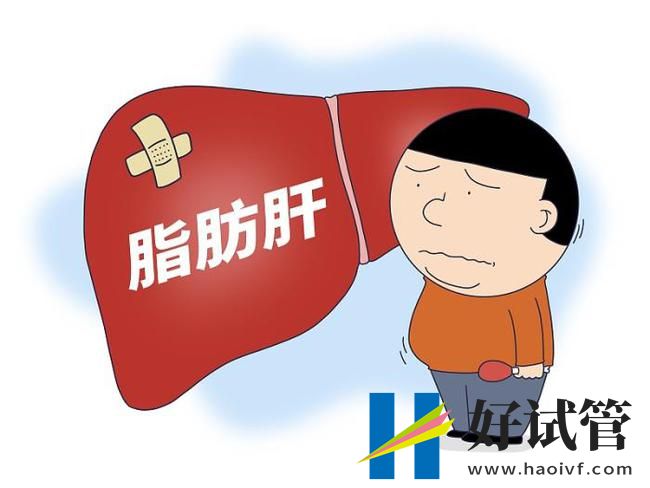 “抗性淀粉”食物,可减轻脂肪肝(图1) 22.jpg